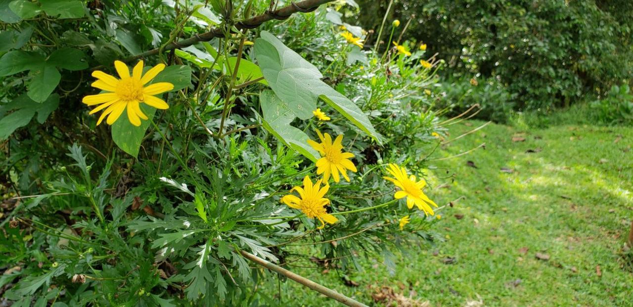 Casa El Granero Monteverde ภายนอก รูปภาพ