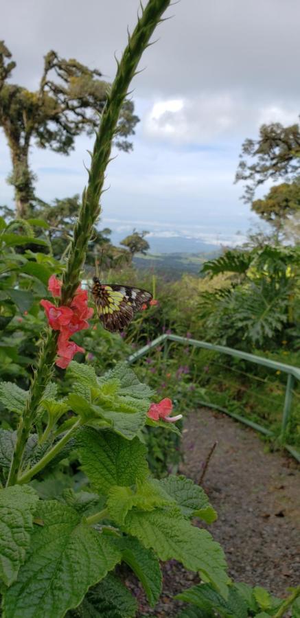 Casa El Granero Monteverde ภายนอก รูปภาพ