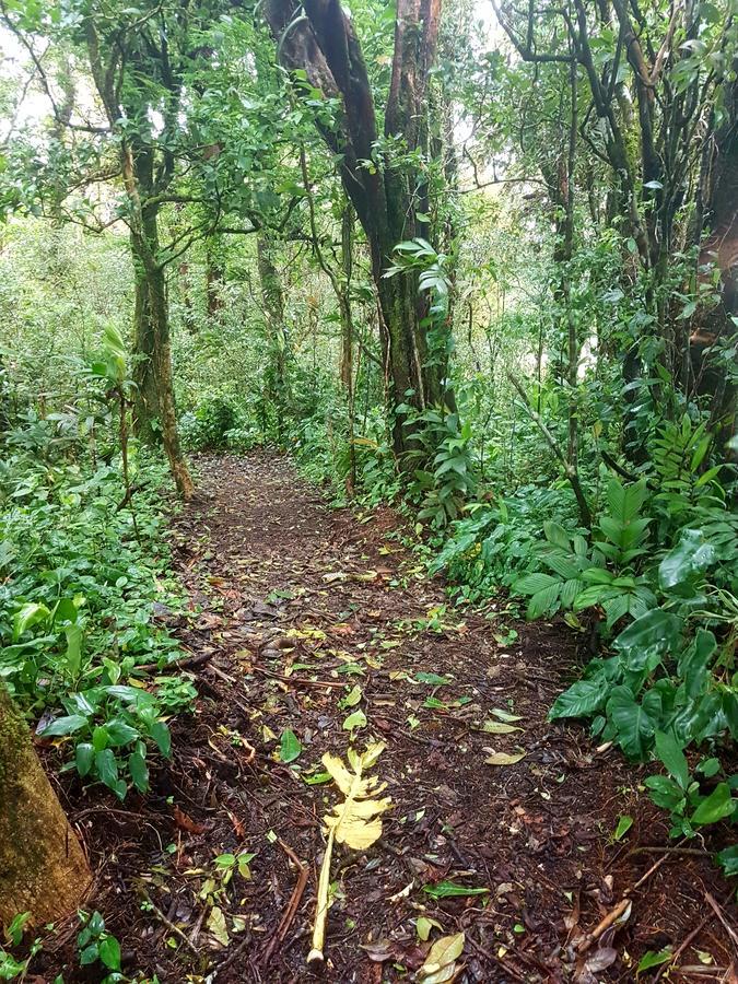 Casa El Granero Monteverde ภายนอก รูปภาพ